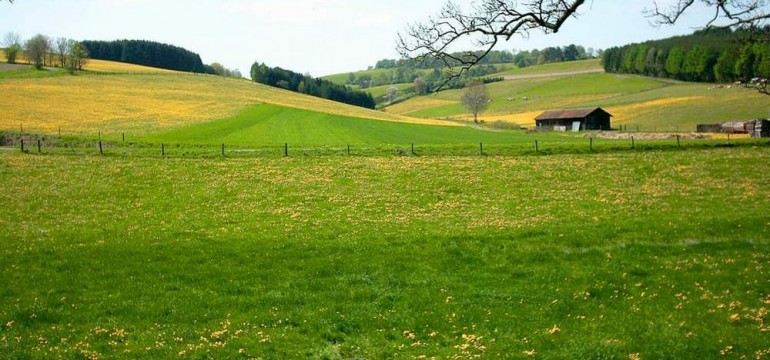 Mobilitätsnetz Spessart Mobilitätsnetz Spessart